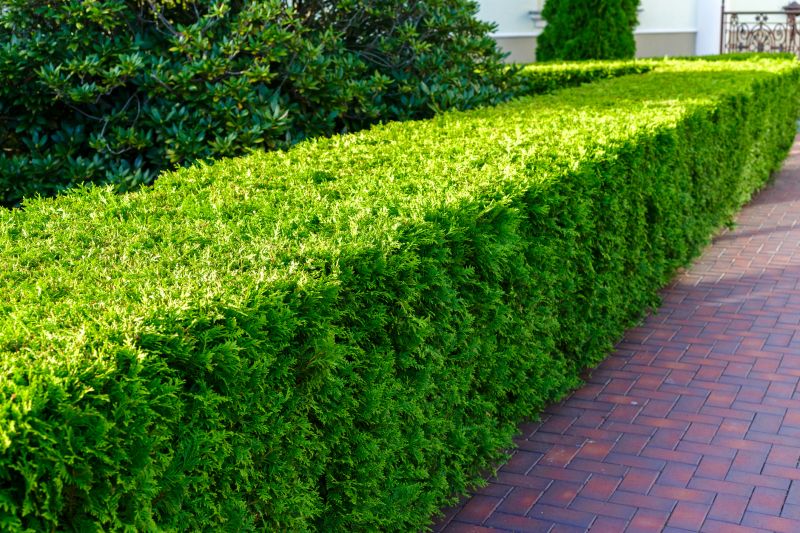 Brick Hardscaping Installation